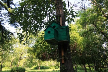 bird house on a tree