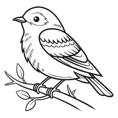 Obraz premium A charming line drawing of a cute bird perched on a branch designed for kids to color in and explore their artistic skills while having fun and learning