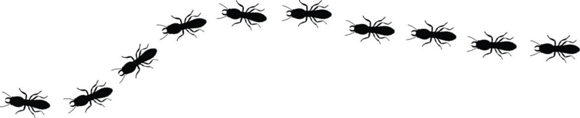 Vector silhouette of a group of termites walking together. Wood-eating insects walk in the same direction.