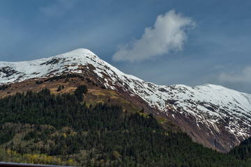 Snow On Mountain




