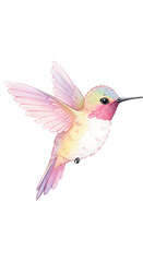 Obraz premium Cute Hummingbird Illustration: Pastel Pink and Yellow Bird isolated trasparent background, png format