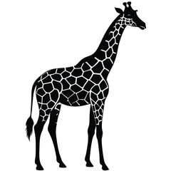 Naklejka premium Adobe Illustrator Artwork