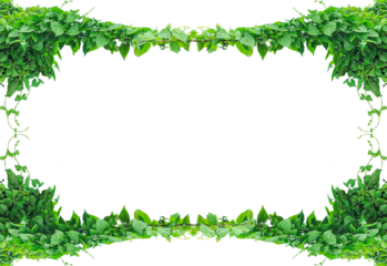 green leaves frame on transparent background, green grass frame, green grass border, Abstract green grass texture mosaic map illustration of Ireland, hanging green plants 