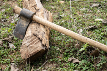 A traditional wooden-handled axe rests on a chopped log outdoors, surrounded by green grass and dry leaves symbolizing rural labor and forest craftsmanship.