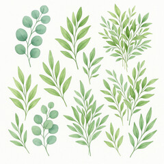 Fototapeta premium Watercolor Botanical Leaves: This collection showcases a delicate array of watercolor botanical leaves, showcasing the intricate beauty of various leaf types, ready for use in your creative projects.