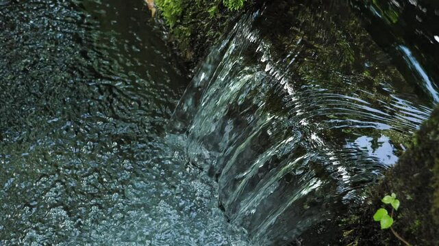 森の中の貯水池 5倍スローモーション