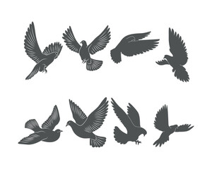 Pigeon silhouette, flying dove silhouette vector