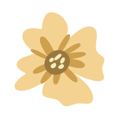 set of flower icons, set of colorful flowers, set of flowers, pink flower isolated, pink flower isolated on white, pink flower on white background, 