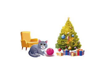 British Shorthairs can be prone to weight gain if their diet and exercise are not managed. Regular play sessions, even short bursts of activity, help burn calories, maintain muscle tone