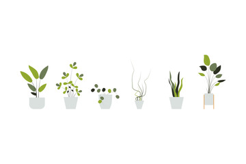 plant in a pot nature garden decoration houseplant green tropical leaf flower. vector collection vegetation foliage leaves botanical design potted interior home. isolated natural botany decor.