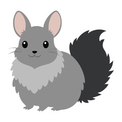 chinchilla-with-fluffy