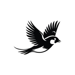 Obraz premium Flying cardinal bird vector artwork