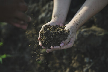 Hands holding rich, dark soil, symbolizing connection to nature, gardening, and environmental care.