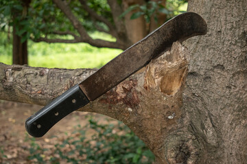 A worn machete with a black handle rests against a tree trunk, hinting at recent use in the forest....
