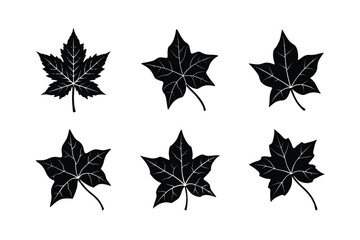 Obraz premium Black Ivy Emblem in Clean Vector Style