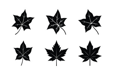 Obraz premium Clean Vector of Ivy Leaf Emblem