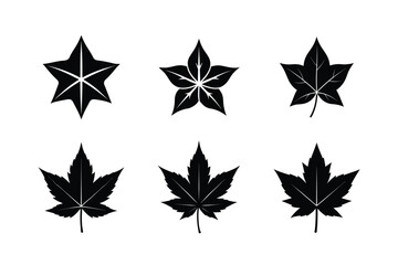 Obraz premium Nature Inspired Ivy Leaf Vector Icon