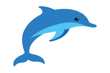 dolphin isolated on white