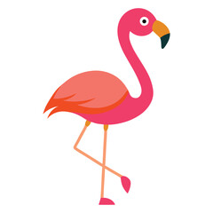   flamingo-standing-on-one-leg-on-white-background