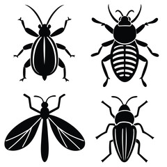 vector collection of beetle