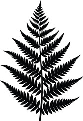 Naklejka premium fern leaf isolated on white