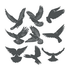 Dove Silhouette vector illustration
