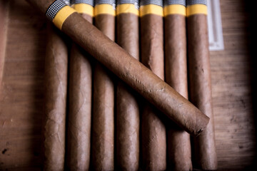 Cuban cigars close up and cigarette with smoke and concept of cigarettes 