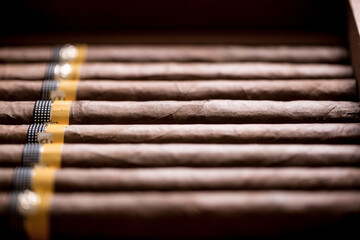 Cuban cigars close up and cigarette with smoke and concept of cigarettes 