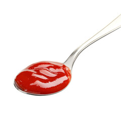 Spoonful of Red Ketchup Delicious Sauce