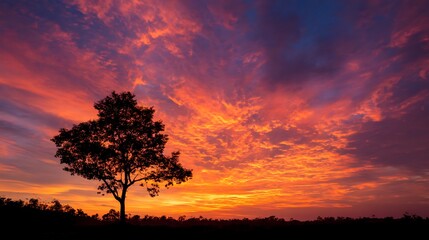 Naklejka premium Silhouette of a tree against a vibrant sunset with fiery sky and clouds, creating a dramatic and peaceful scene. .