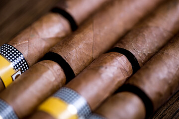 Cuban cigars close up and cigarette with smoke and concept of cigarettes 