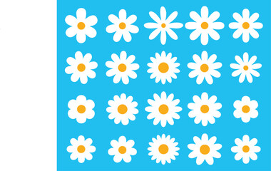 Daisy flowers icon sets vector design