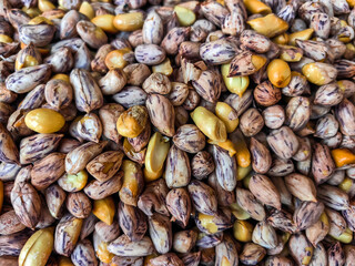 Top view of roasted Tiger beans peanut. Tiger stripe beans. Tiger pattern nut or queen nut. Background or wallpaper seeds of peanuts. Baked salty tiger stripe peel peanut background and texture.