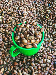 Roasted Tiger beans peanut in green cup. Tiger stripe beans. Tiger pattern nut or queen nut. Background or wallpaper seeds of peanuts. Baked salty tiger stripe peel peanut background and texture.