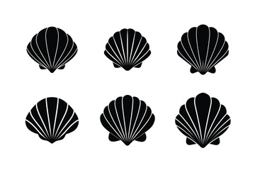 seashell vector cartoon clipart beach