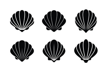 beach seashell vector clipart cartoon look