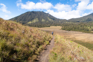 Someone is hiking at Mount Semeru savanna, Lumajang, East Java, Indonesia.