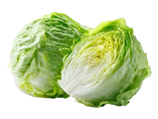 Fresh whole iceberg lettuce with partial peel revealing its crisp, vibrant green leaves. This healthy vegetable is perfect for salads and garnishes, adding refreshing crunch to any dish