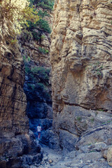 Exploring a narrow canyon with rugged rock formations and lush greenery