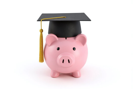 pink piggy bank with a graduation cap on top1