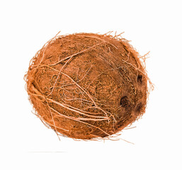 Coconut Isolated on White