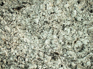 Abstract background texture of burnt ash. Coal in an extinguished fire. Selective focus.