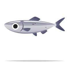 Saltwater fish vector isolated illustration