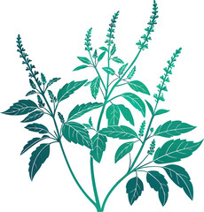 Tulsi Plant Silhouette Illustration Design. Holy Basil Tulsi Plant Silhouette Art. Minimal Tulsi Plant Silhouette for Nature Themes. Tulsi Leaf and Plant Silhouette Illustration