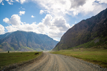 Dirt road running along Chulyshman river at entrance to Chulyshman valley in Altai Russia Scenic...