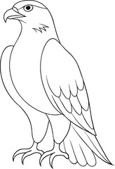 Obraz premium Outlined falcon stands proudly; an animal representation displays strong character and detailed wing feather