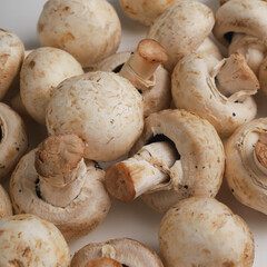 Champignon mushroom on white background