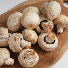 Champignon mushroom on white background