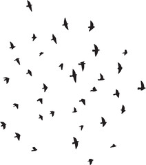 Minimalist Flock of Birds in Flight on White Sky Background
