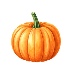 Obraz premium Single ripe pumpkin with green stem, isolated on transparent background 